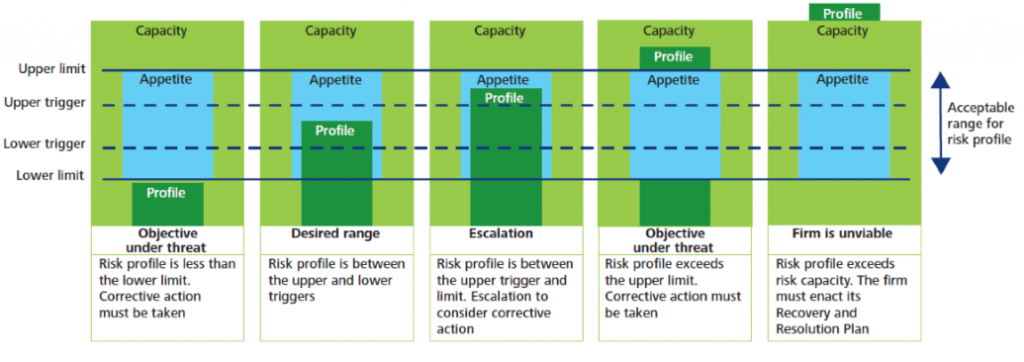 Risk Appetite Statement Examples Australia